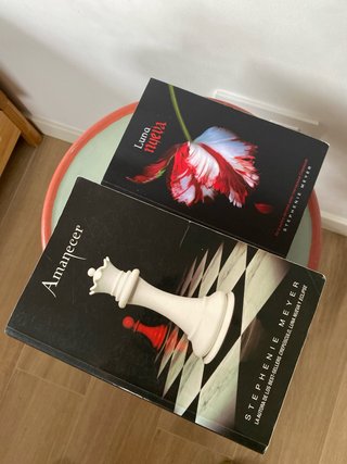 Saga Crepúsculo (4) (Spanish Edition)