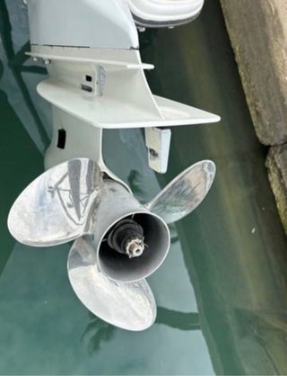 Evinrude E-TEC 300cv