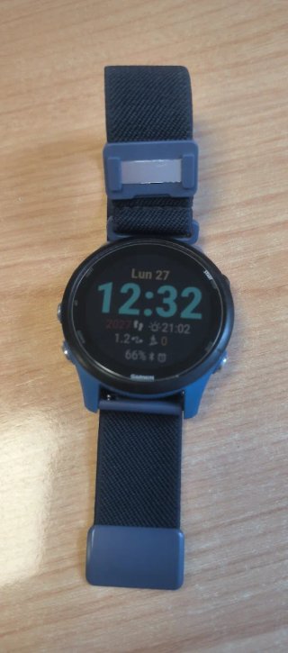 Garmin Forerunner 255 Azul