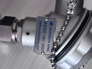 2 sondas  termopar tipo K de 600mm marca  Sentech