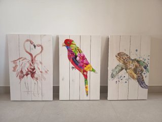 Cuadros de madera