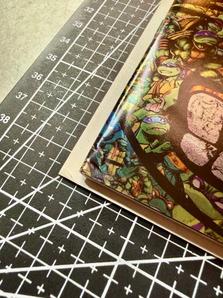 Comic USA TMNT #150 Mr Garcin C2E2 Foil Ltd. 800