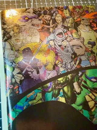 Comic USA TMNT #150 Mr Garcin C2E2 Foil Ltd. 800