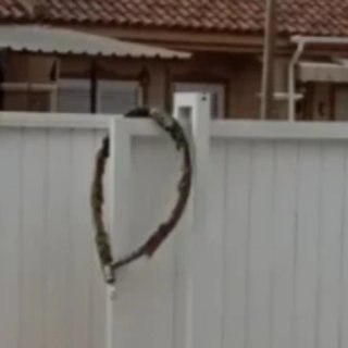 Cadena antirrobo Pitón