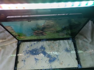 Acquario 45 litri