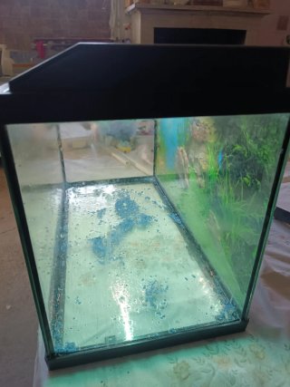 Acquario 45 litri
