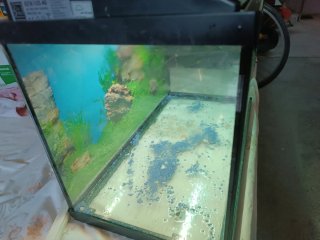 Acquario 45 litri
