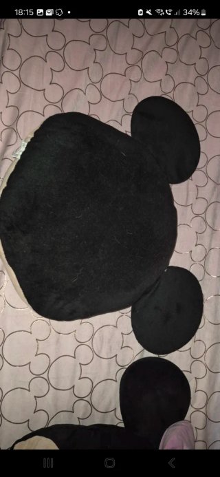 Cojín Mickey y Minnie