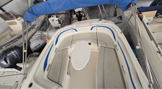 Bayliner Bowrider BR 245
