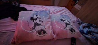 Cojín Minnie Mouse hay 4