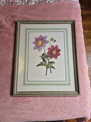 Cuadro de flores moradas y rojas