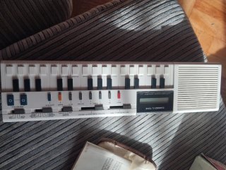 Casio VL-Tone VL-1 Teclado Calculadora