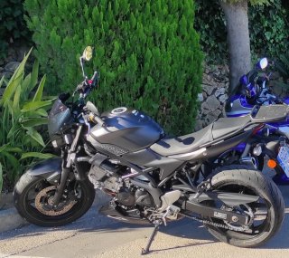 Suzuki SV