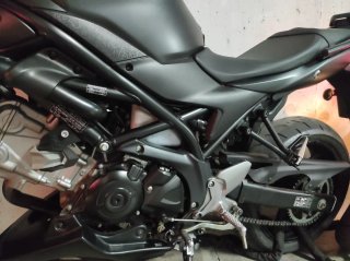Suzuki SV