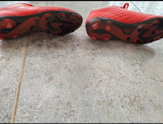 Botas fútbol niño Adidas Predator T.36