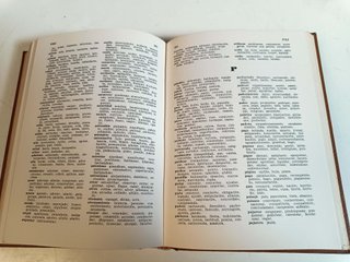 Diccionario Español de sinonimos y equivalencias