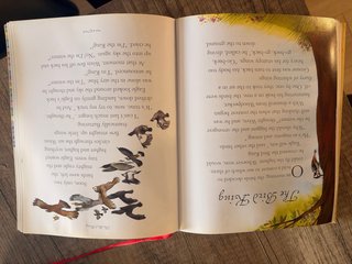 3 libros infantiles ilustrados Usborne