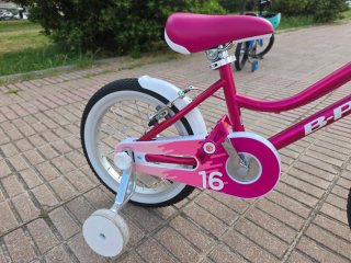 Bicicleta Infantil Rose 16