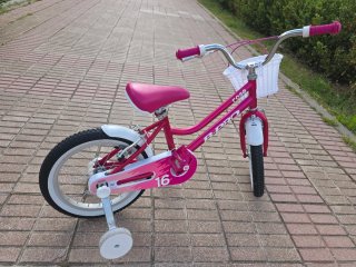 Bicicleta Infantil Rose 16