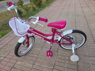 Bicicleta Infantil Rose 16