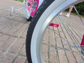 Bicicleta Infantil Rose 16