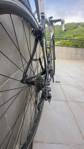 Kuota Kult 54 Carbono