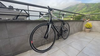 Kuota Kult 54 Carbono
