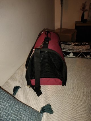 Transportín para perros pequeños