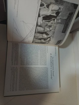 La ciencia del arte . La óptica en el arte occiden