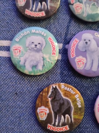 Lote 11 Imanes Razas de Perros