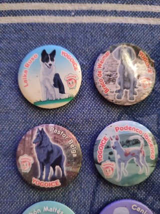 Lote 11 Imanes Razas de Perros