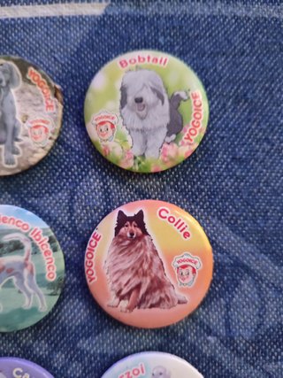 Lote 11 Imanes Razas de Perros