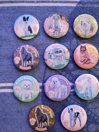 Lote 11 Imanes Razas de Perros