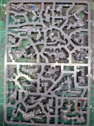 10 Chicoz Orks - Warhammer 40k