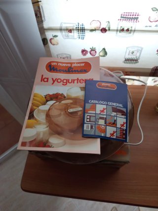 Yogurtera Moulinex