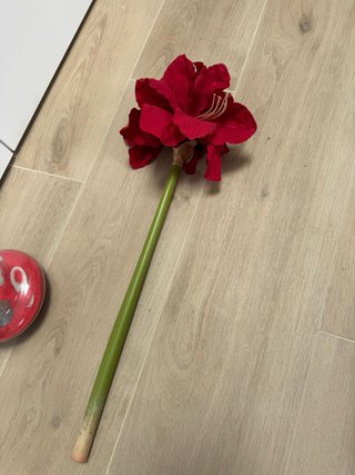 Jarrón de cristal Mica con arena roja y piedras.