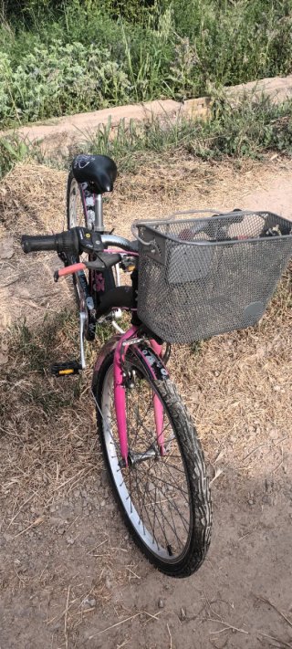 Bicicleta Infantil 20