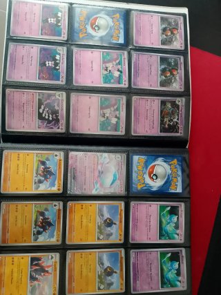 Colección Pokémon llama blanca y fulgor negro