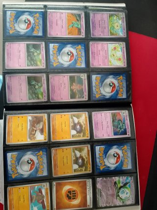 Colección Pokémon llama blanca y fulgor negro