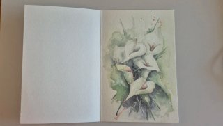 Stampa floreale su cartoncino