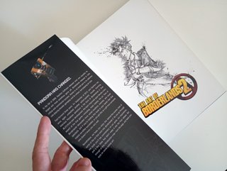 The Art of Borderlands 2