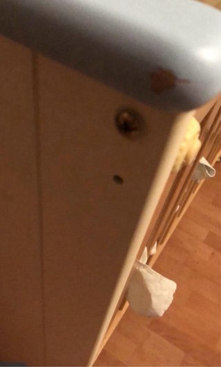 Cuna Mi Cuna Nemo