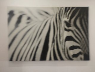 Cuadro Cebra Blanco y Negro