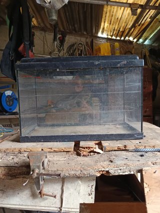 Pecera Acuario