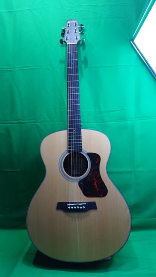 Guitarra Electroacústica Walden G550E