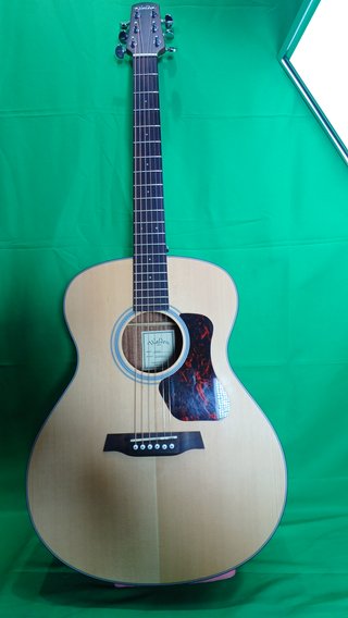 Guitarra Electroacústica Walden G550E