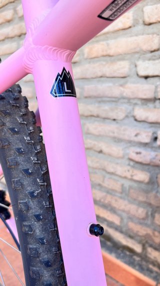 Bicicleta montaña Specialized L
