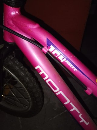 Bicicleta Monty Miero 104 (Niños 5años)