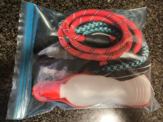 Lote accesorios perro: arnés, correas, botella