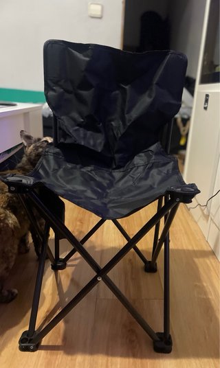 Silla plegable infantil negra